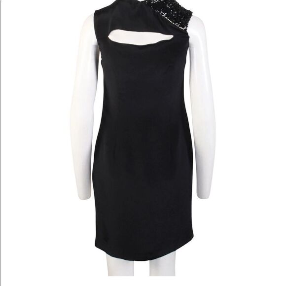 NWT Sachin + Babi Ansaka Silk Dress Sz. 6 - Picture 7 of 9